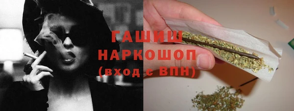 индика Балахна