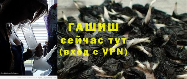 индика Балахна